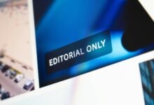 infopulse media content details